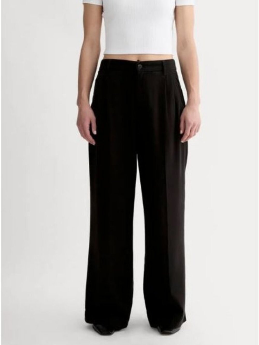 Everlane The Trouser in Buttersoft Black Tencel Twill Pleated Chino Size 0 NWT